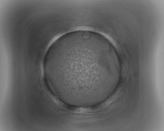 X0000113331271200909281220