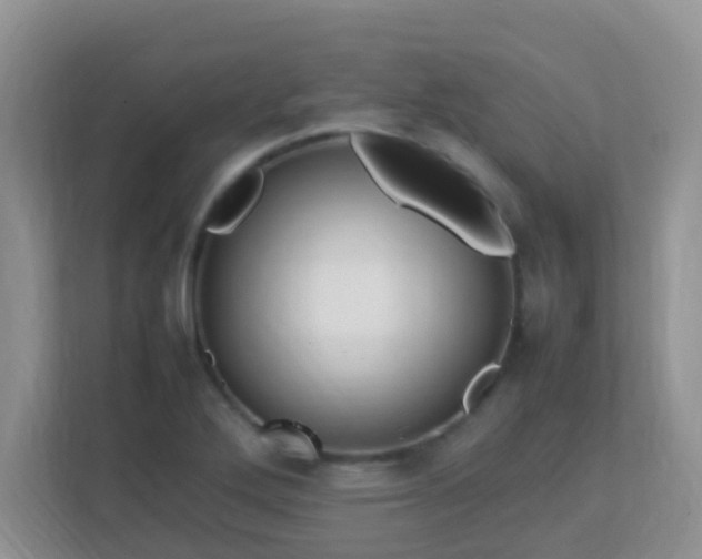 X0000113331272200909281220
