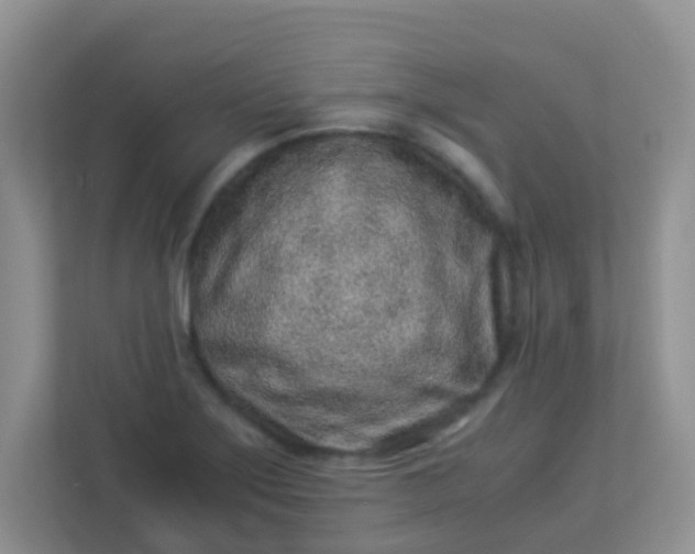 X0000113331275200909281220
