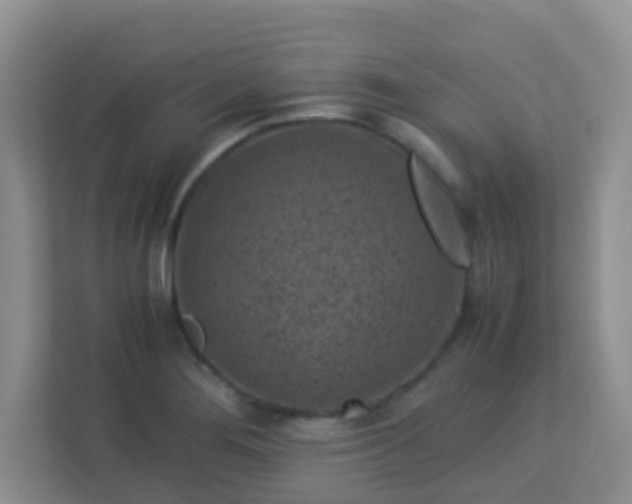X0000113331276200909281220