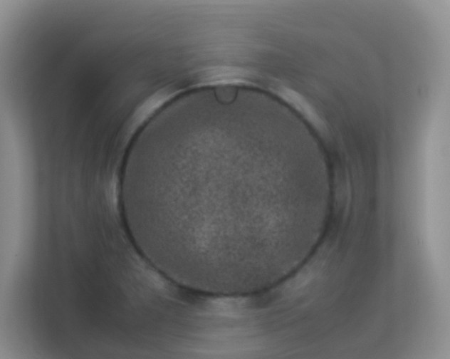 X0000113331277200909281220