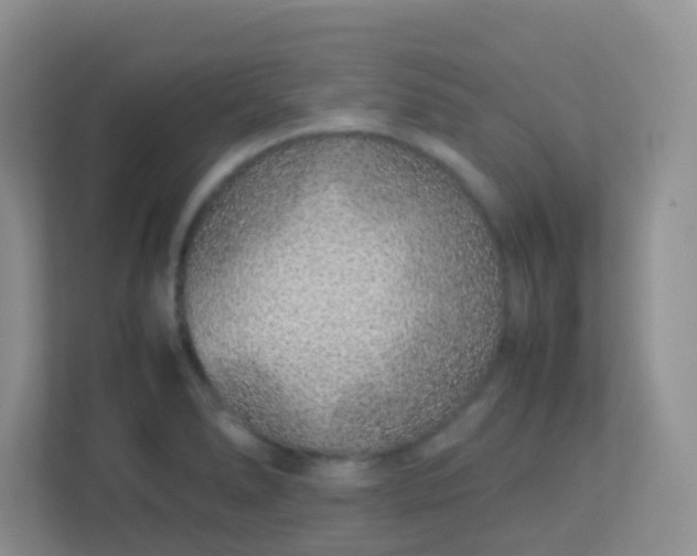 X0000113331278200909281220