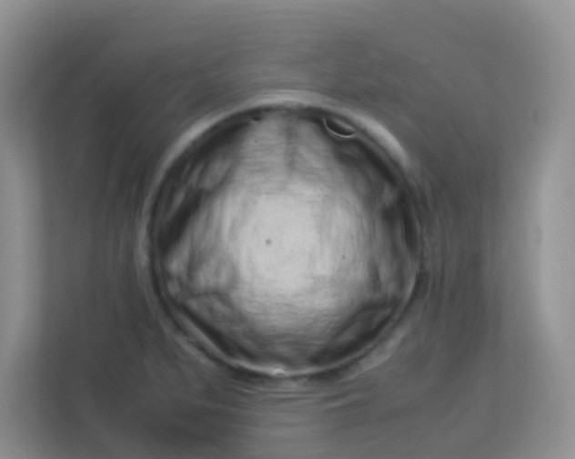 X0000113331279200909281220