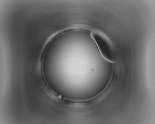 X0000113331280200909281220