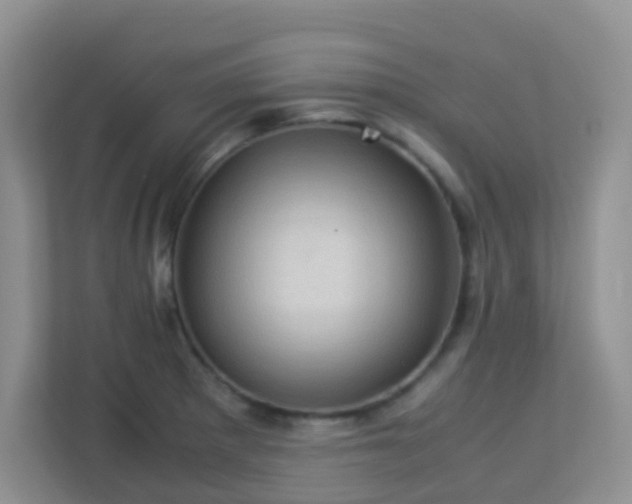 X0000113331281200909281220