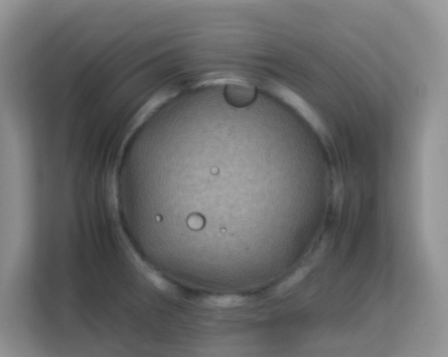 X0000113331282200909281220