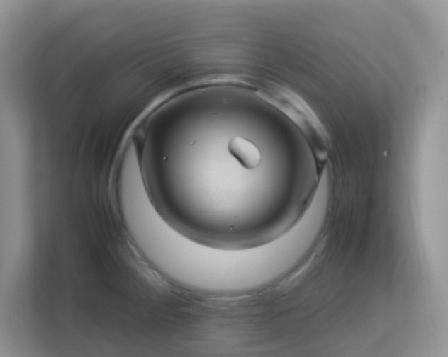 X0000113331284200909281220