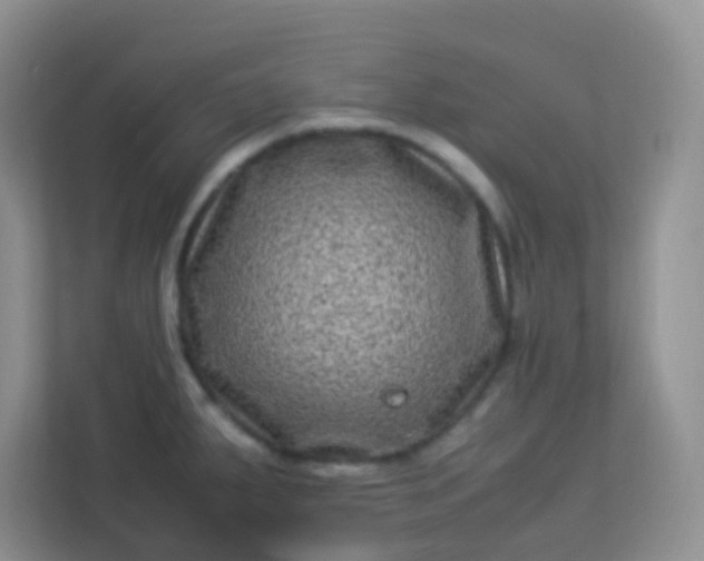 X0000113331287200909281220