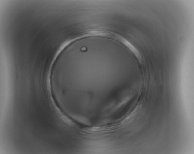 X0000113331291200909281220