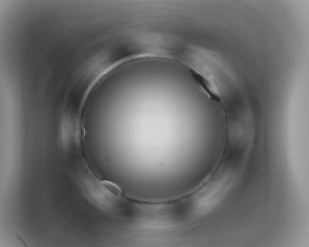 X0000113331292200909281220