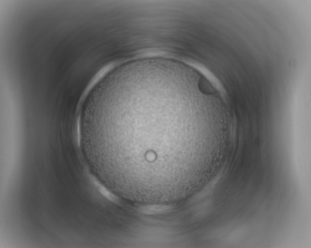X0000113331294200909281220