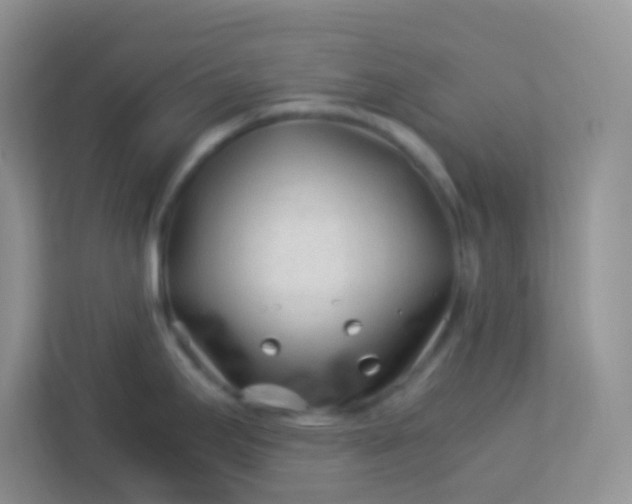 X0000113331295200909281220