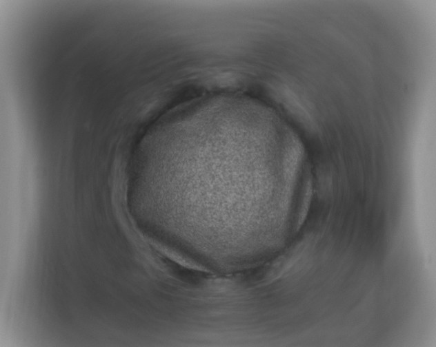 X0000113331297200909281219