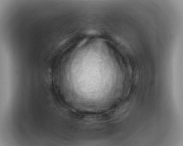 X0000113331301200909281219