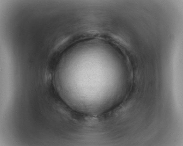 X0000113331302200909281219