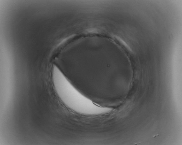X0000113331303200909281219