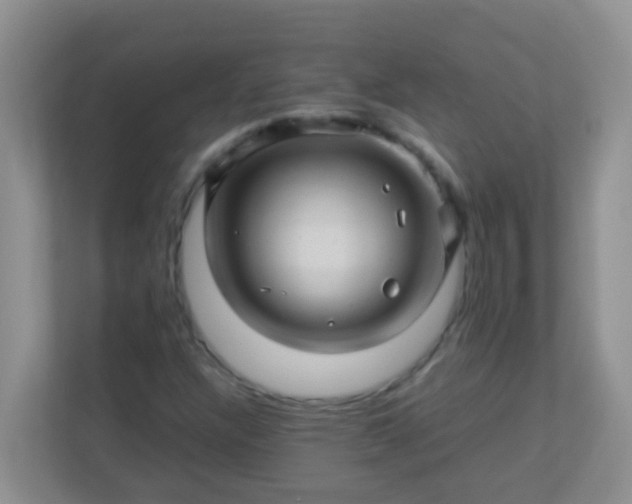 X0000113331304200909281219