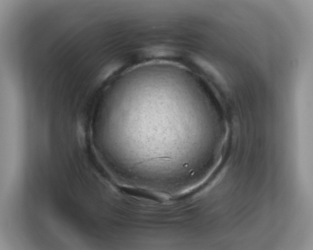 X0000113331305200909281219