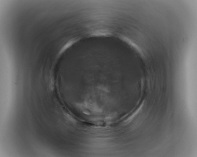 X0000113331306200909281219