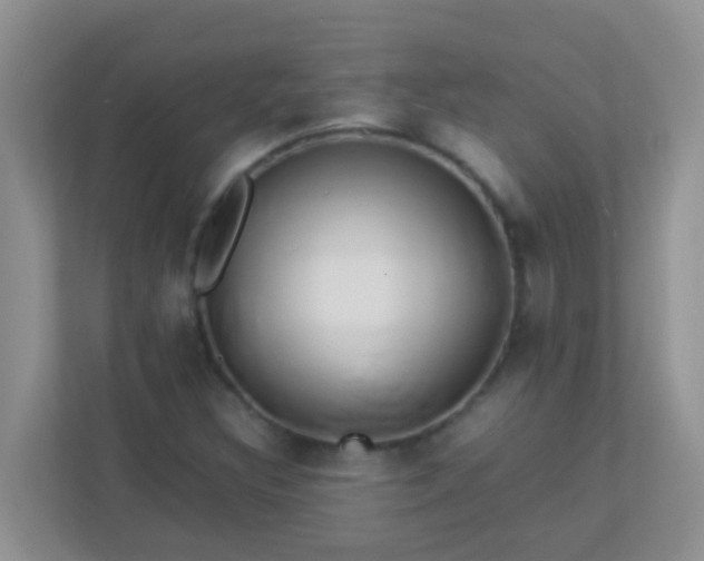 X0000113331308200909281219