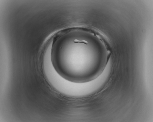 X0000113331310200909281219