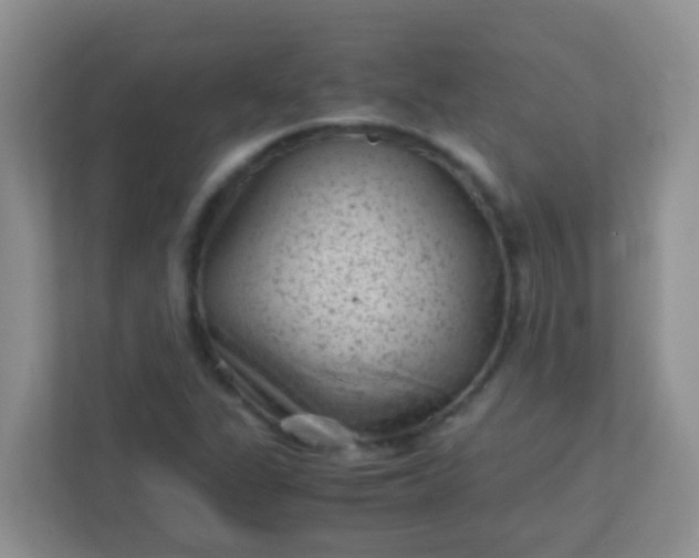 X0000113331311200909281219