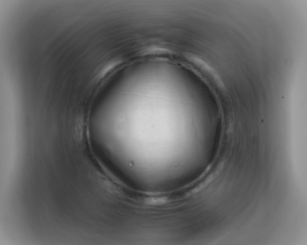 X0000113331313200909281219