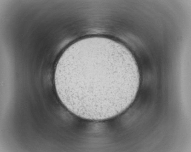 X0000113331314200909281219