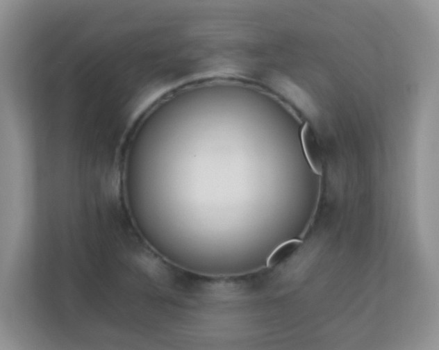 X0000113331316200909281219