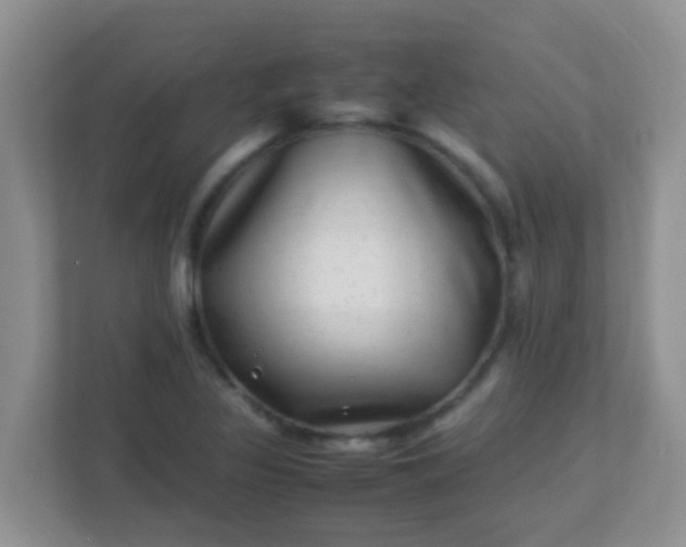 X0000113331317200909281219