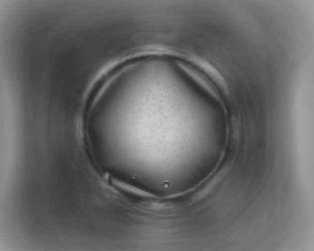 X0000113331318200909281220
