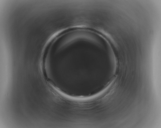X0000113331319200909281220