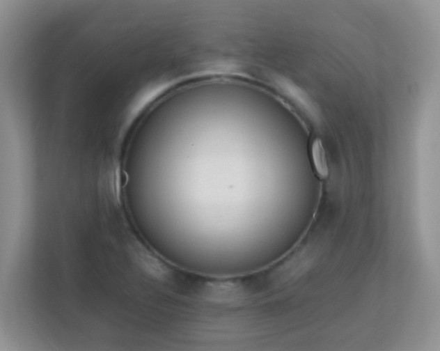 X0000113331320200909281220