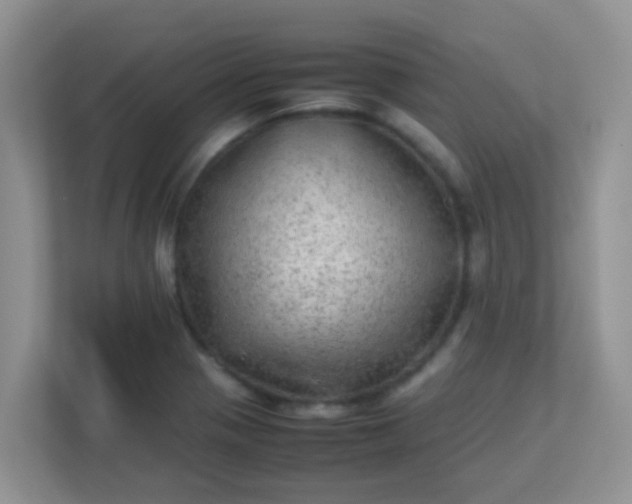 X0000113331321200909281220