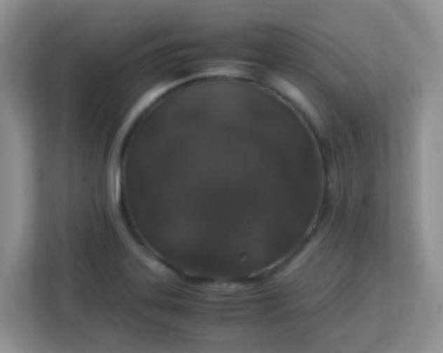 X0000113331323200909281220