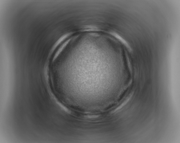 X0000113331325200909281220