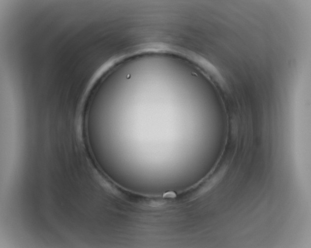 X0000113331326200909281220