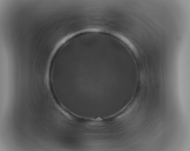 X0000113331327200909281220