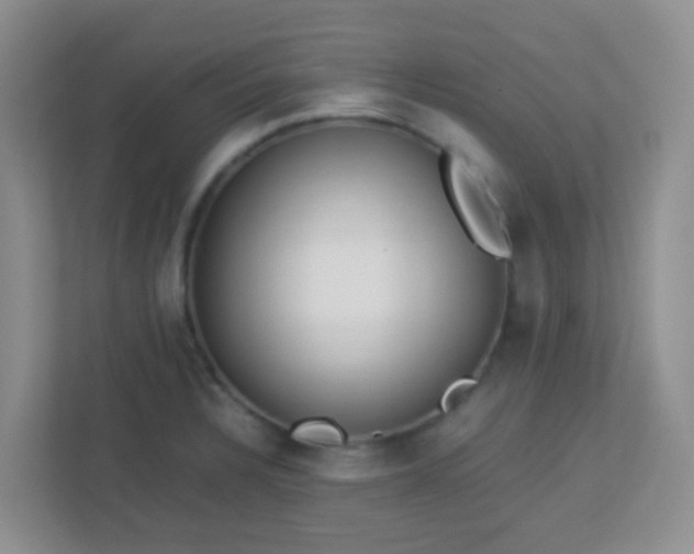 X0000113331328200909281220