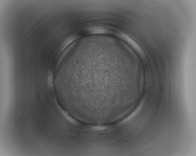 X0000113331329200909281220