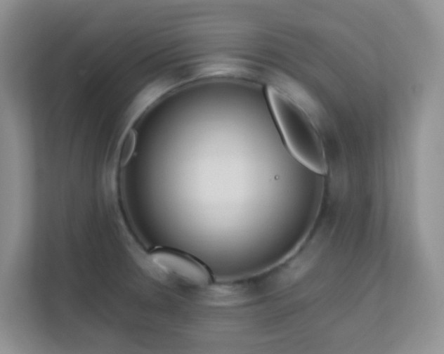 X0000113331330200909281220