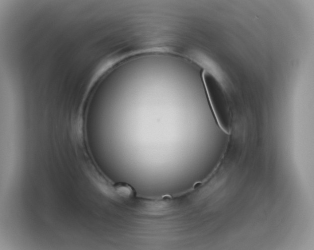 X0000113331332200909281220