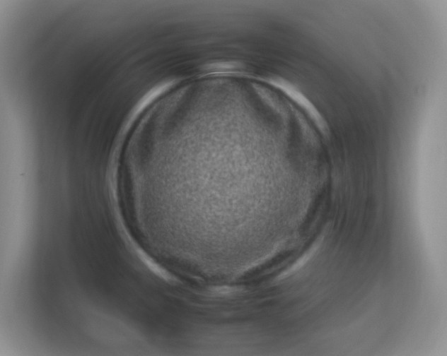 X0000113331333200909281220