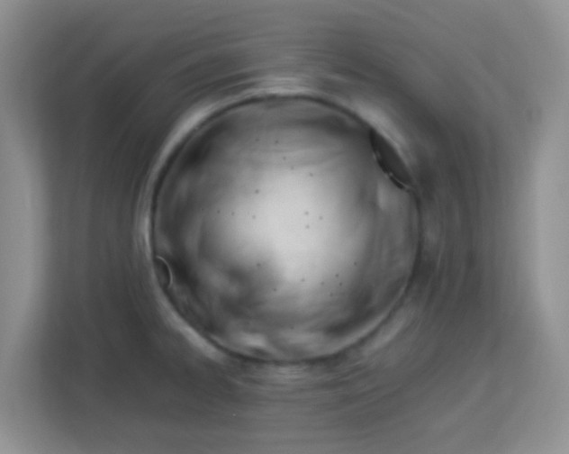X0000113331334200909281220