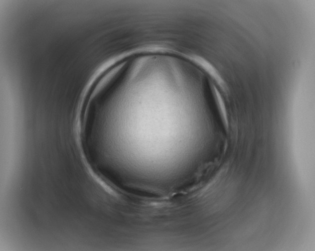 X0000113331335200909281220