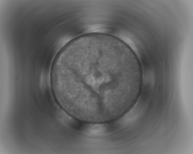 X0000113331338200909281220