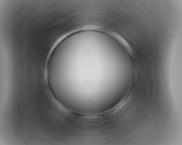 X0000113331340200909281220