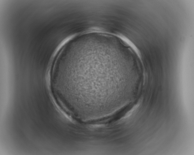 X0000113331341200909281220