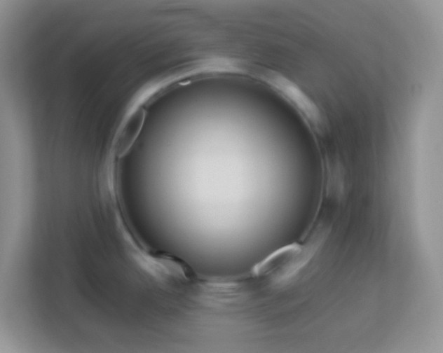 X0000113331342200909281220
