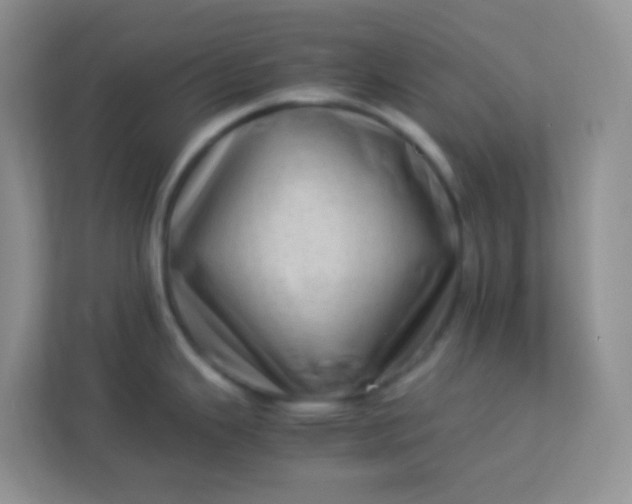 X0000113331343200909281220